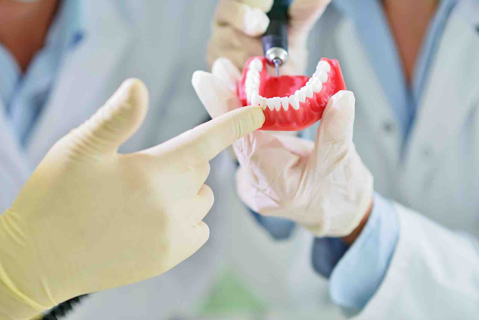 studying denticy in mashhad univercity